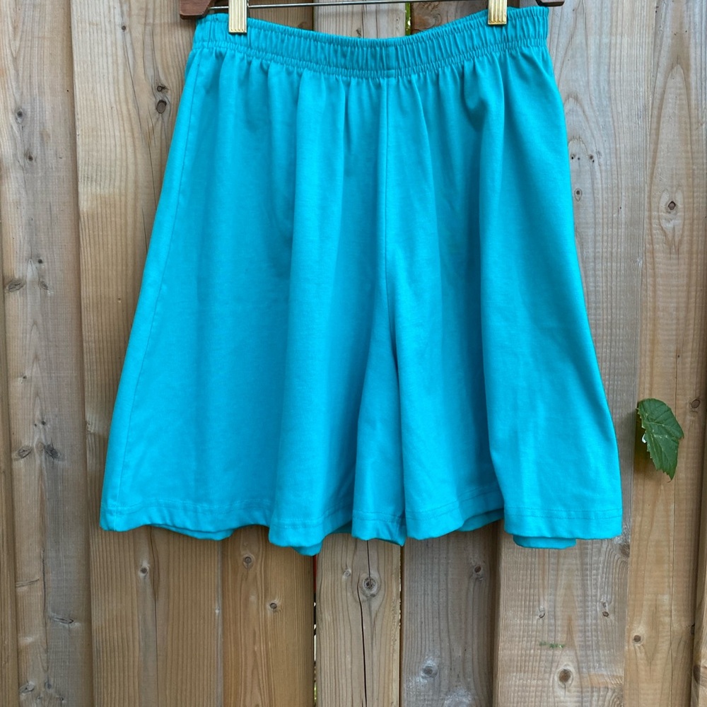 Vintage Turquoise Casual Shorts size large/x-large